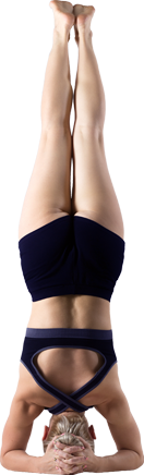 Ayurvedic Wellness Consultations