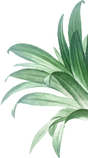 Holistic approach to stress management