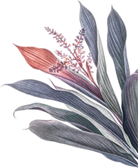 Acupuncture for fertility support