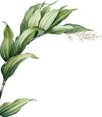 Ayurvedic treatments for digestive health